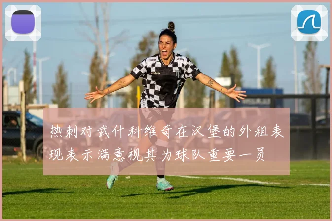 热刺对武什科维奇在汉堡的外租表现表示满意视其为球队重要一员