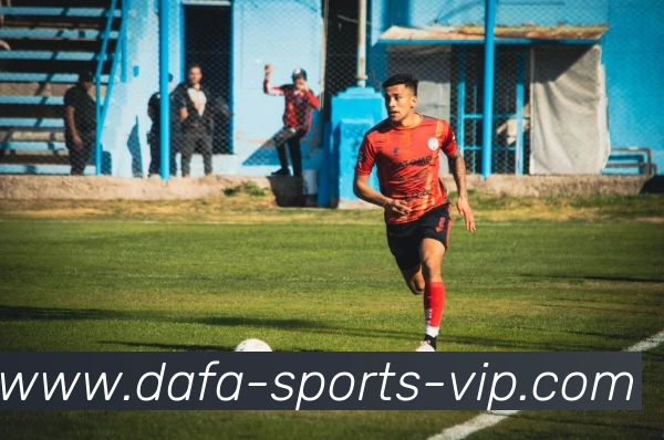 大发平台生态图